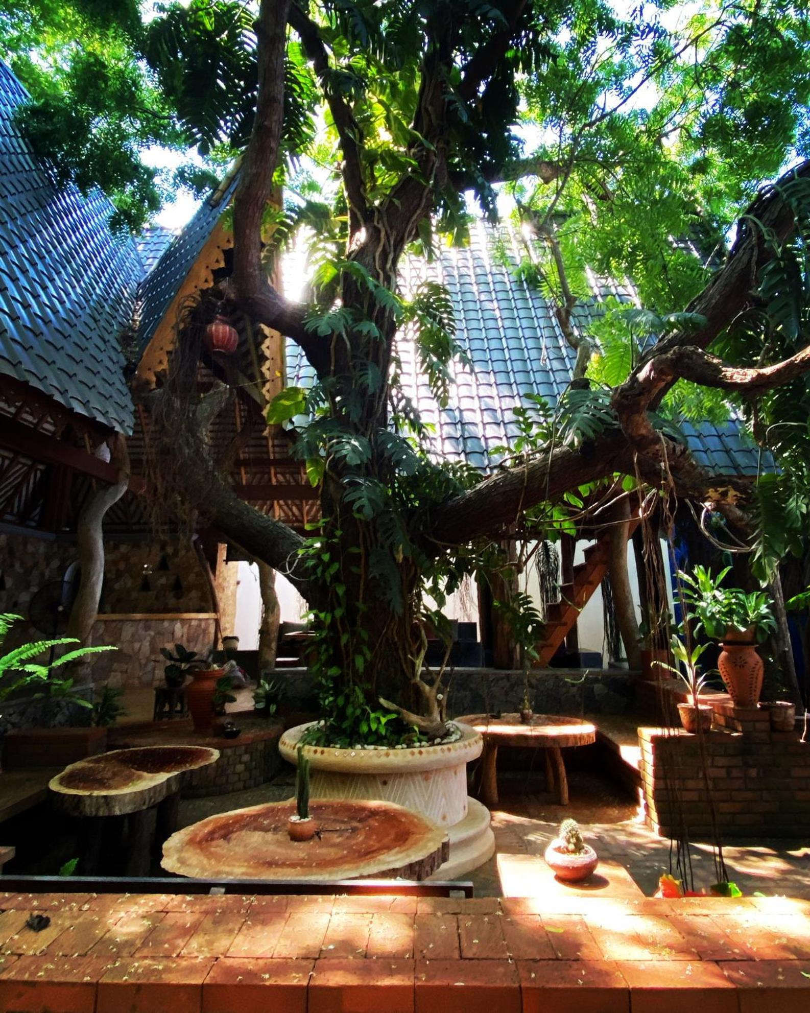 Hotel Surf N Sun - Arugam Bay Exterior foto